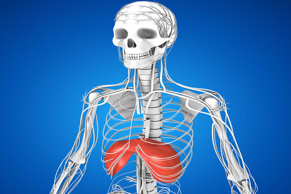 Diaphragm Exercises Guide – Expand a Lung